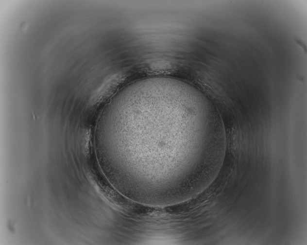 X0000103240742200809041046