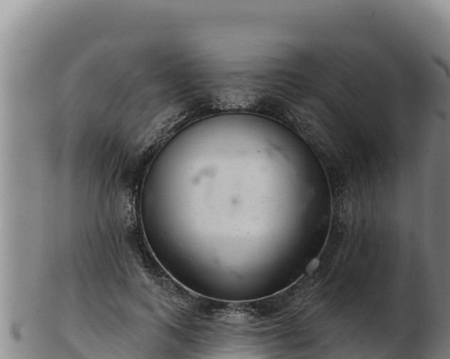 X0000103240743200809041046