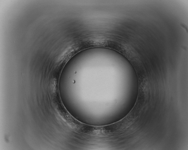 X0000103240744200809041046