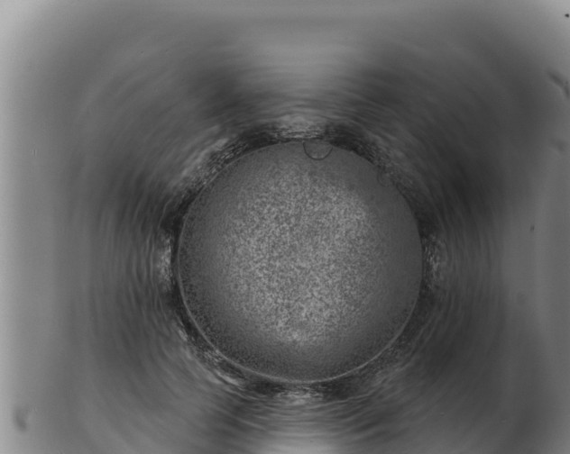 X0000103240745200809041046