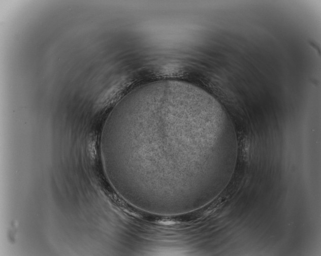 X0000103240746200809041046