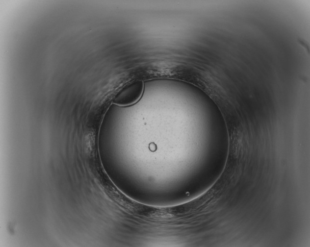 X0000103240747200809041046