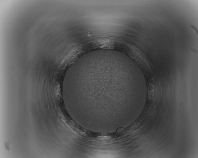 X0000103240748200809041046