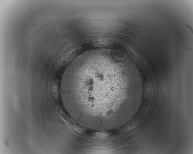 X0000103240749200809041046