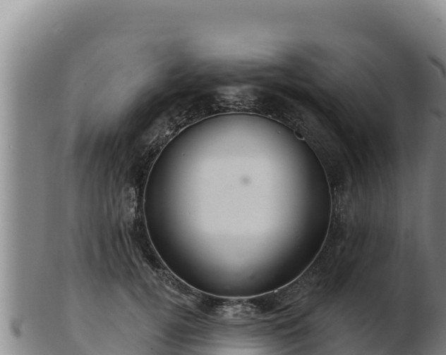 X0000103240752200809041046