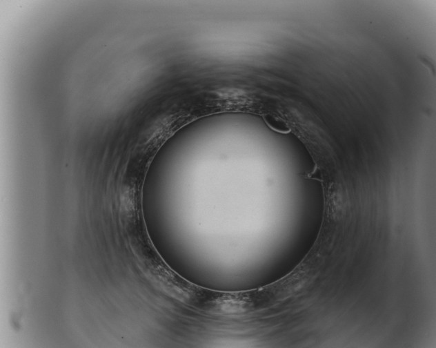 X0000103240756200809041046