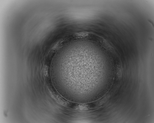 X0000103240758200809041046