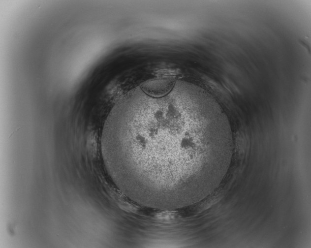 X0000103240761200809041046