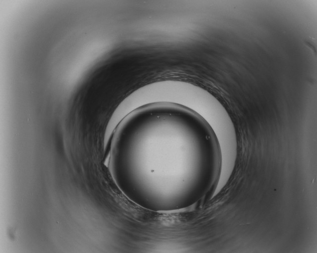 X0000103240762200809041046