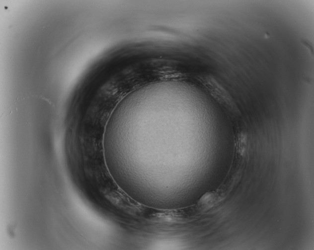 X0000103240763200809041046