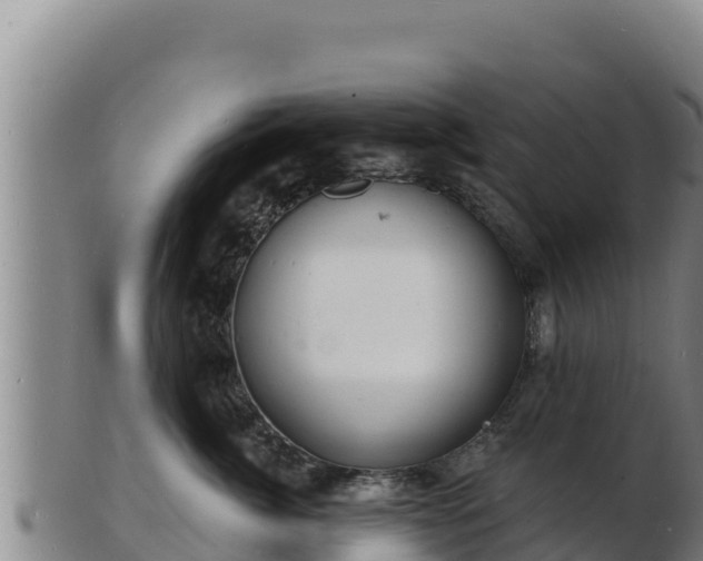 X0000103240764200809041047