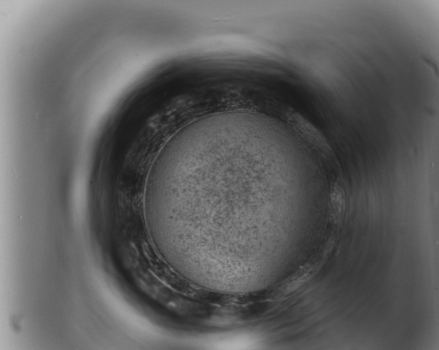 X0000103240765200809041047