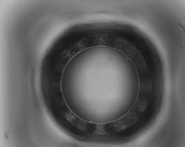 X0000103240766200809041047