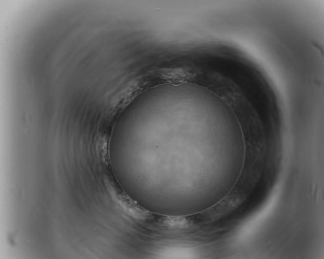 X0000103240767200809041047