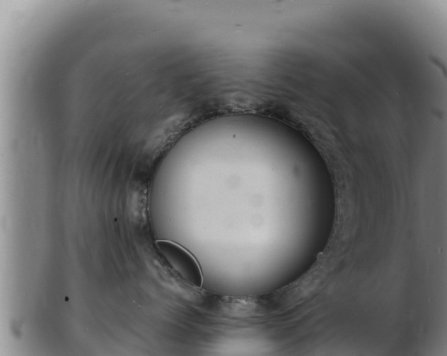 X0000103240768200809041047