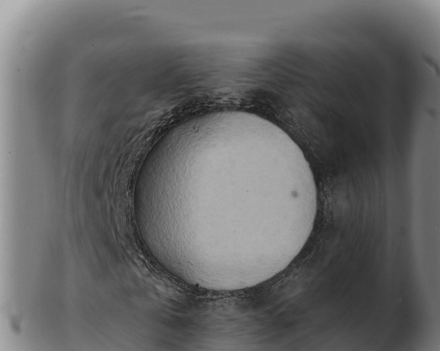 X0000103240769200809041046