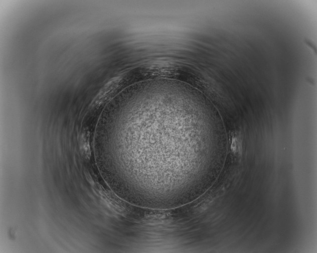 X0000103240771200809041046