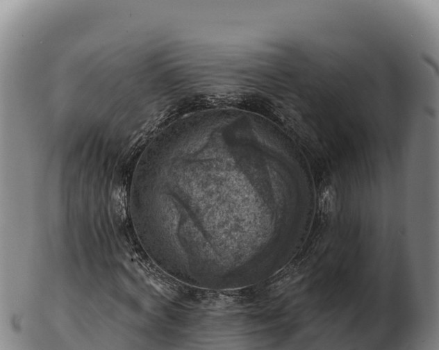 X0000103240772200809041046