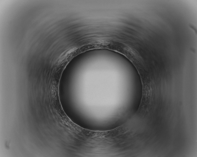 X0000103240773200809041046