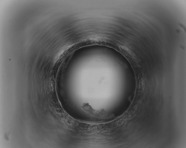 X0000103240776200809041046