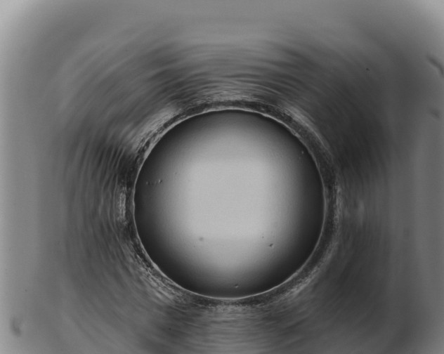 X0000103240777200809041046