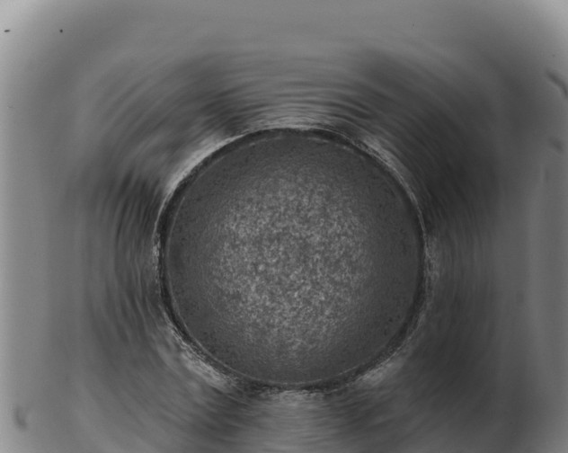 X0000103240779200809041046