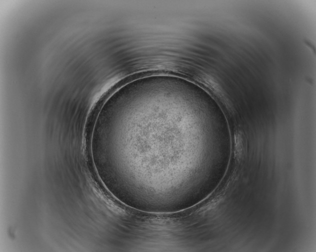 X0000103240780200809041046