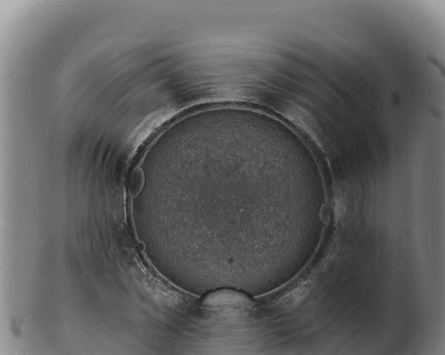 X0000103240781200809041046