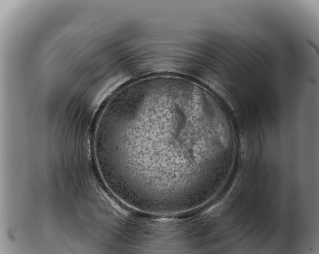 X0000103240782200809041046