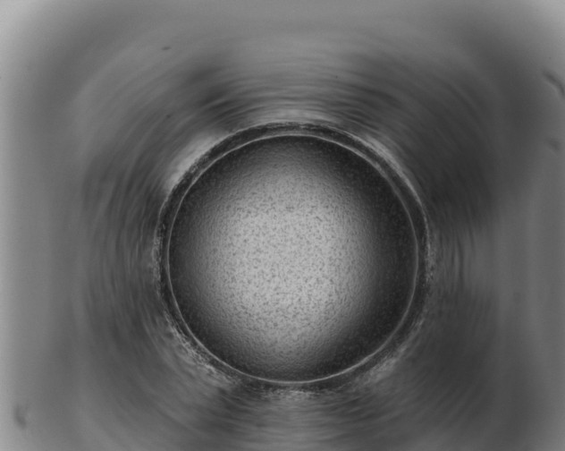 X0000103240783200809041046