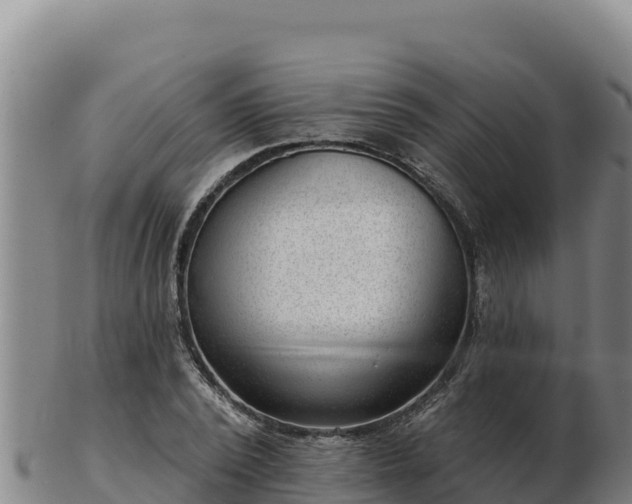 X0000103240784200809041046