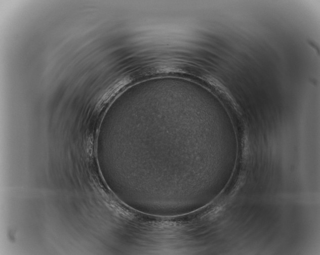 X0000103240785200809041046