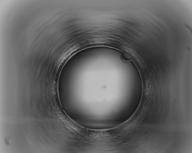 X0000103240786200809041045