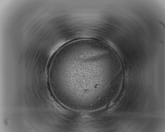 X0000103240787200809041045