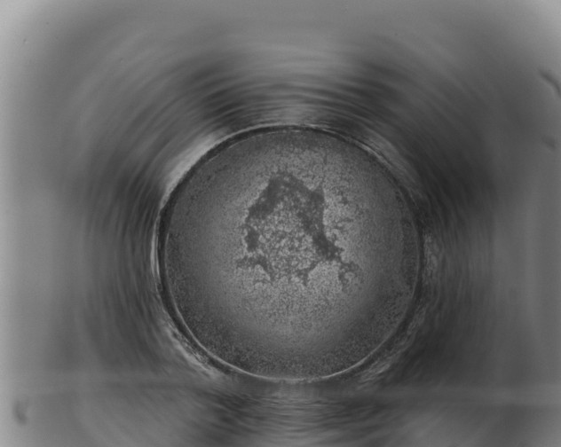 X0000103240788200809041045