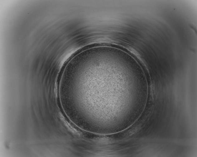 X0000103240791200809041045