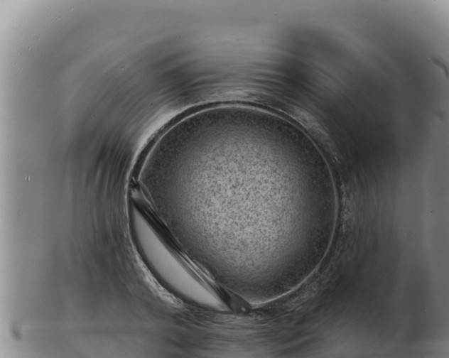 X0000103240792200809041045