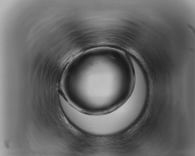 X0000103240793200809041045