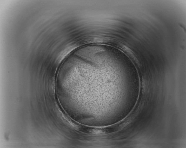 X0000103240794200809041045