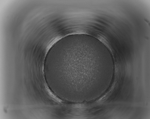 X0000103240797200809041045