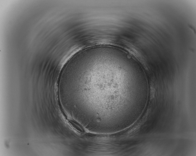 X0000103240798200809041045