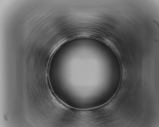 X0000103240802200809041045