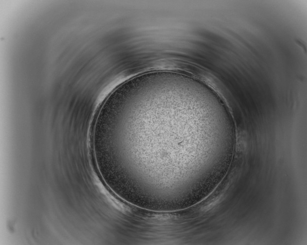 X0000103240803200809041045