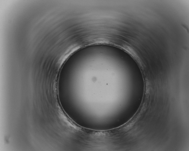 X0000103240806200809041045