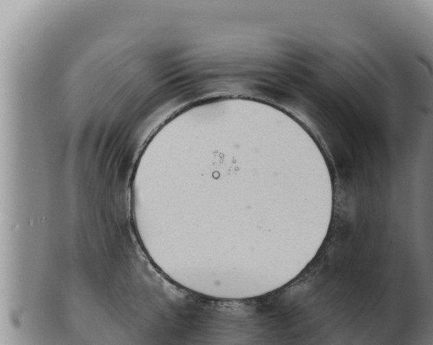 X0000103240807200809041045