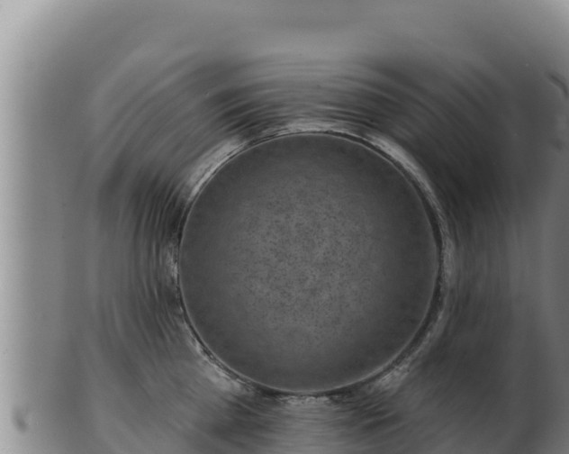 X0000103240809200809041045