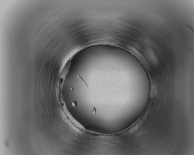 X0000103240812200809041045