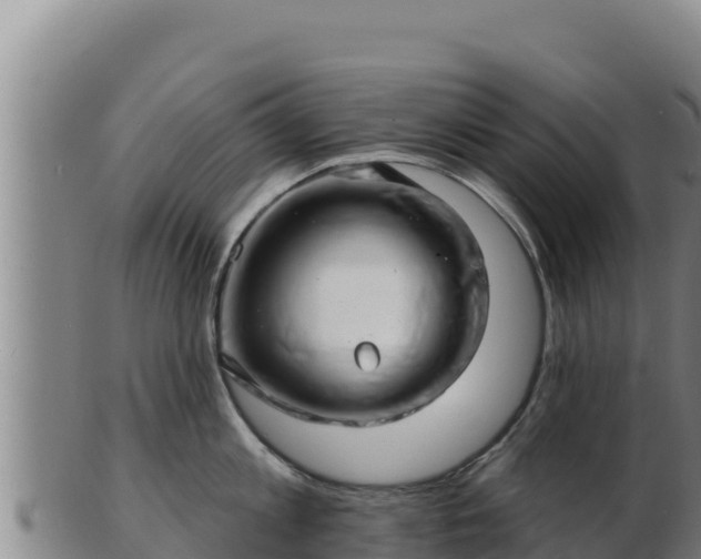 X0000103240813200809041045