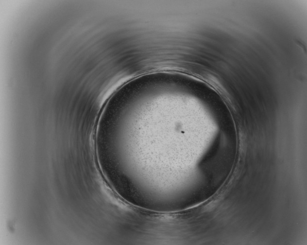 X0000103240814200809041045