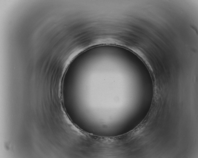 X0000103240815200809041045